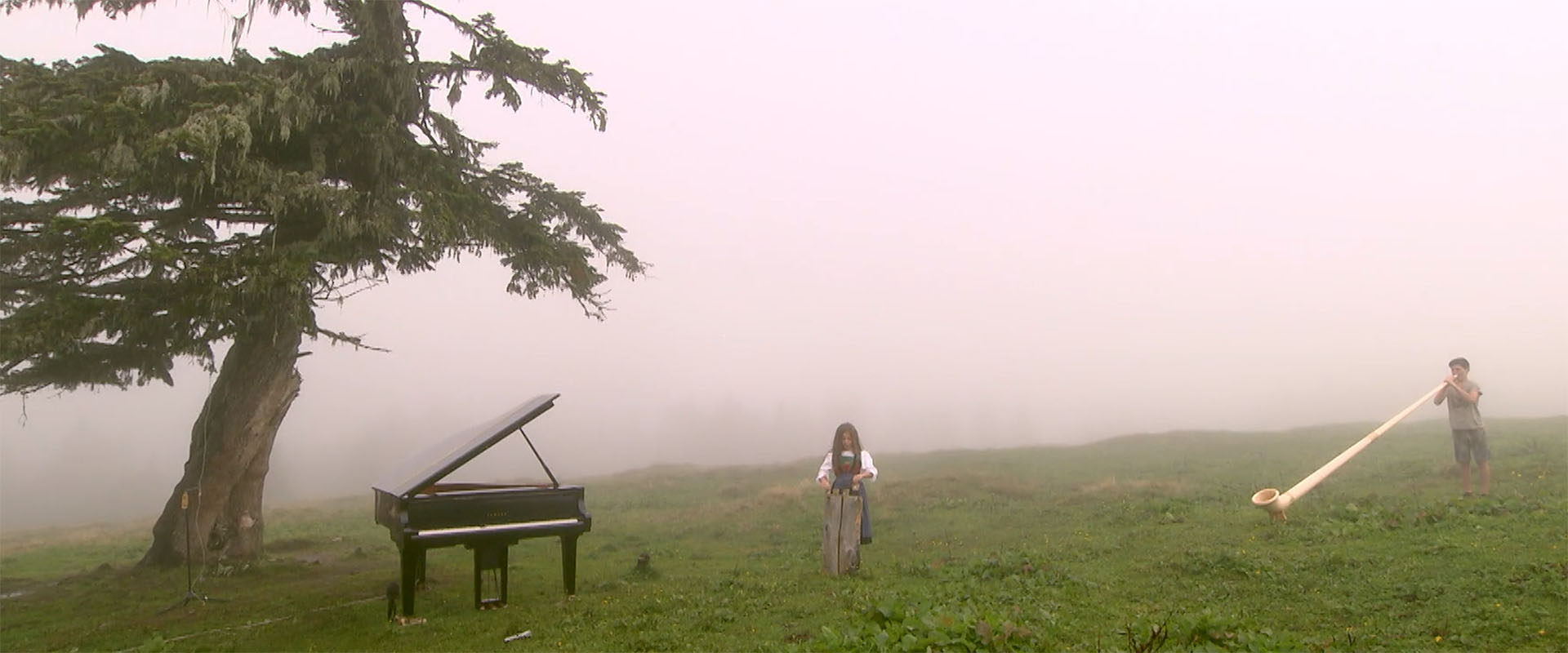 Silver Fir - Children